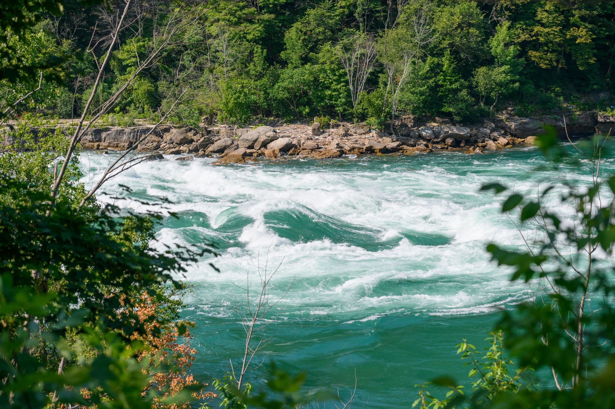 Gorge Trail, Falls, Jet Boat  (11 of 55)